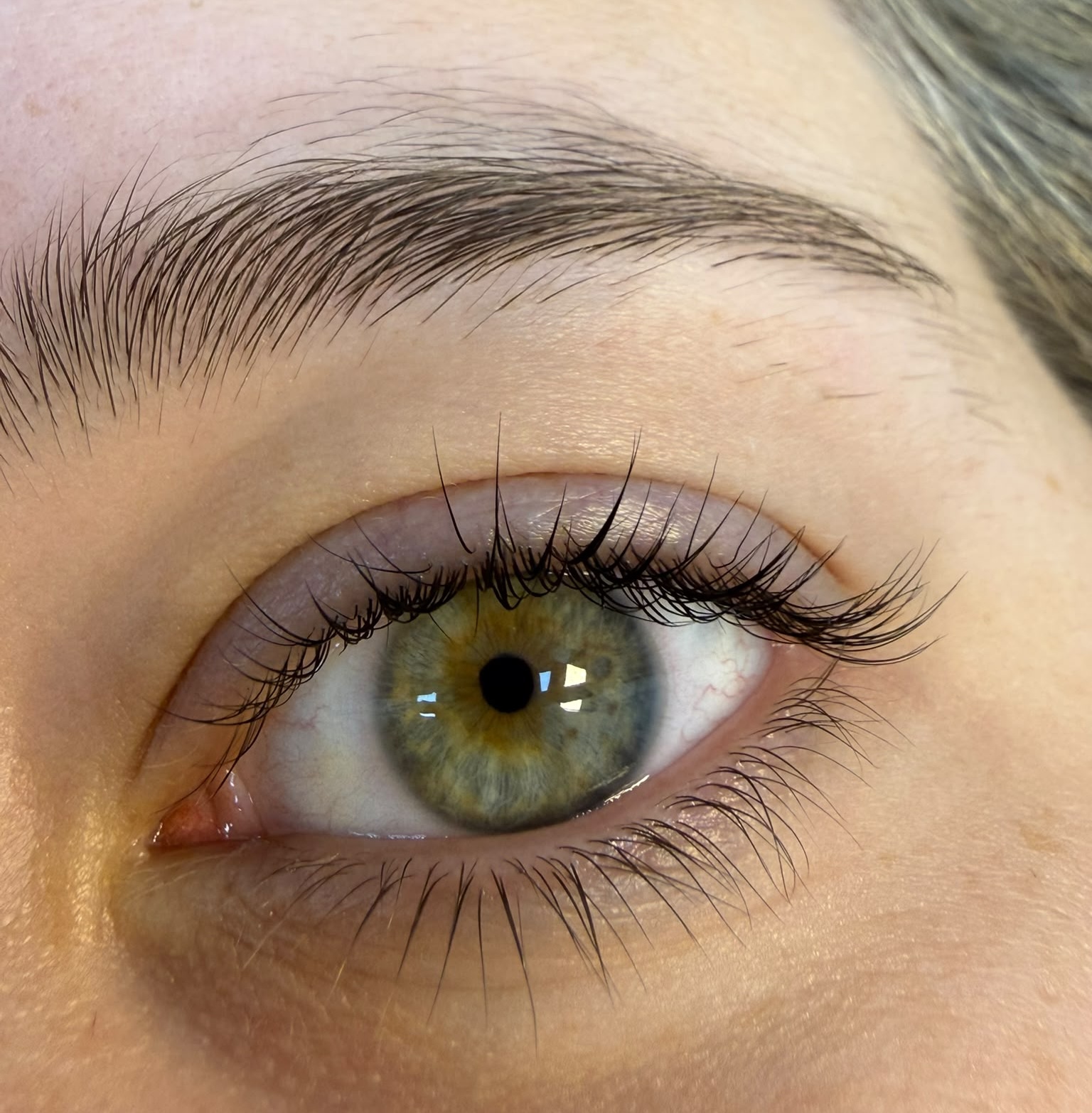 Close-up van een oog met lange, natuurlijk ogende wimpers en een verzorgde wenkbrauw
